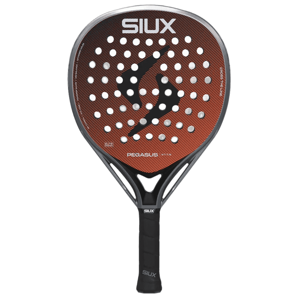 Siux Pegasus Elite 4 2026